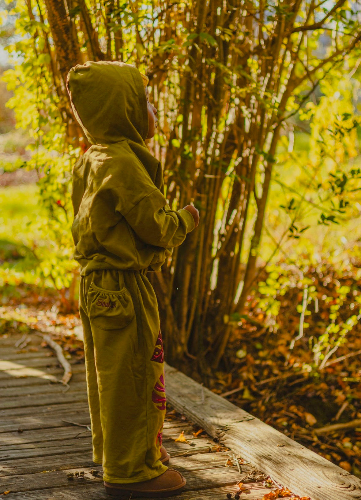 Fuchsia Monstera Set